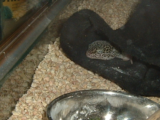 caught snoozin!