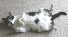 Lexi Lounging