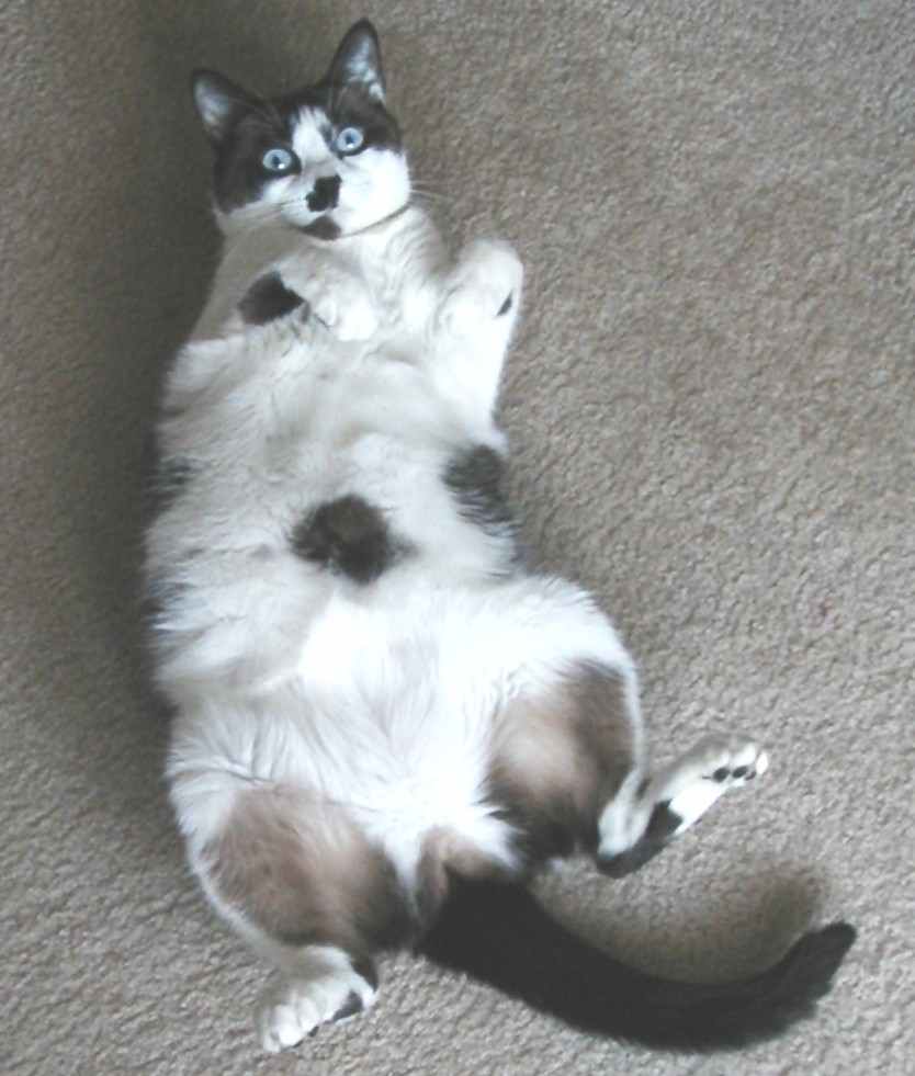 It wasn't me!