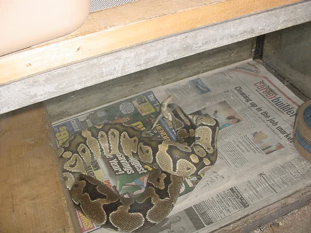 ghost het's in the making
