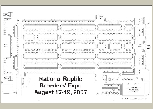 Expo Layout 01