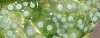 RETF Egg Development 02