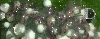 RETF Egg Development 07