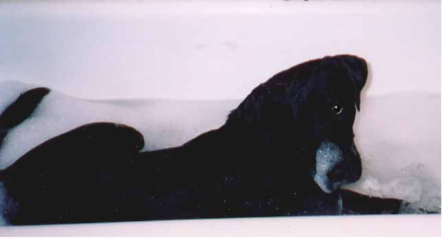 scout sharing bubble bath