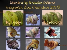 2003 chondros