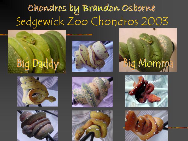 2003 chondros
