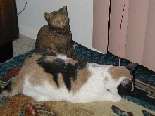 Precious and "friend"