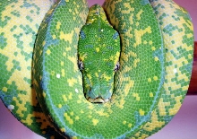 sprite 2