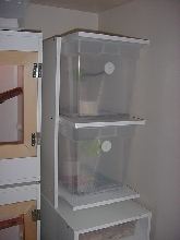 chondro rack