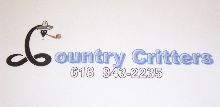 Store name and Logo