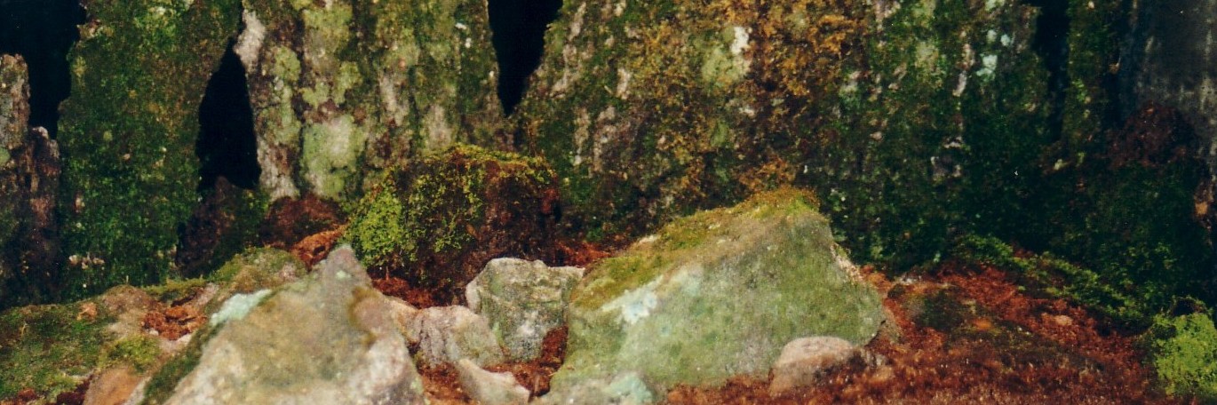 Enclosure