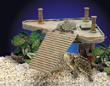 Turtle Pier