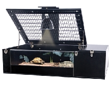 TORTOISE PALACE