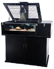 TORTOISE PALACE STAND