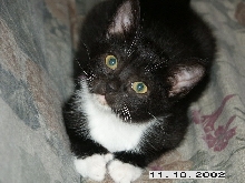 Phoebe @ 9 weeks