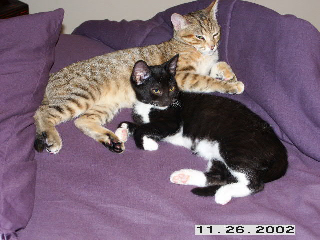 Phoebe and Hazel