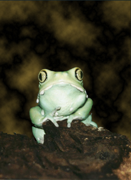What are you looking at?