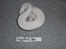 FSupRu13_B01 (Pic 2)