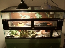 50gal snake cage
