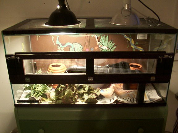 50gal snake cage