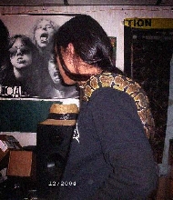 My Ball Python