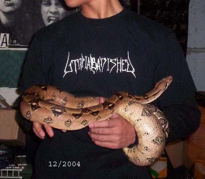 here he is
