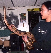 Serpent looking for God....