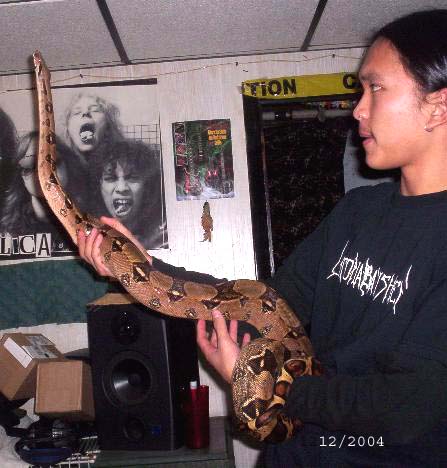 Serpent looking for God....