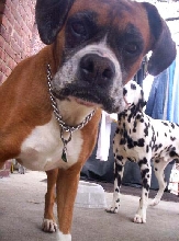 Sandra and Archie