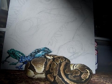 next to reptile painting in progress