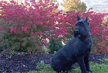 a fall day