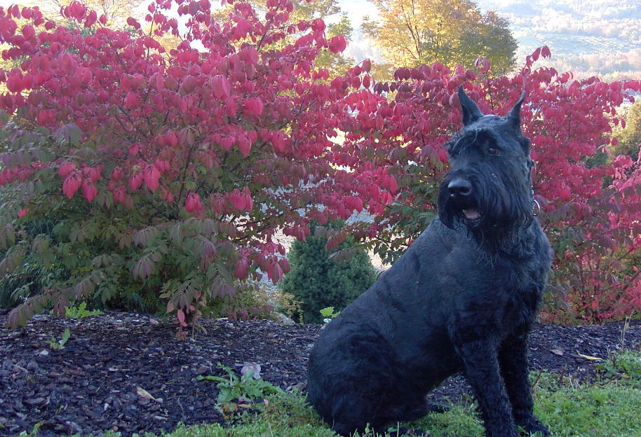 a fall day