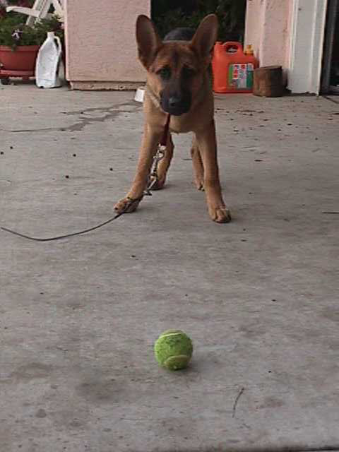PLAY BALL!