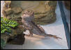 Rupert: Hi There