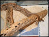 Could this be a flame garter?