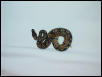het for Piebald ball python