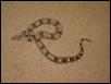7-19-03 male pastel