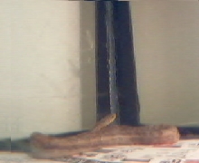 Brownie2