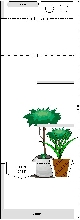 Vivarium plan-side