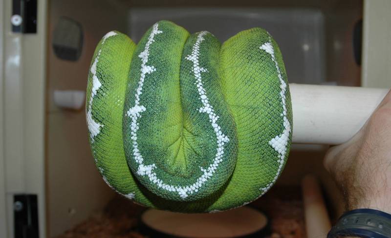 ETB female back