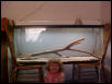 Pogo's Tank