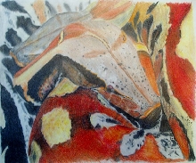 Red Blood Python Drawing