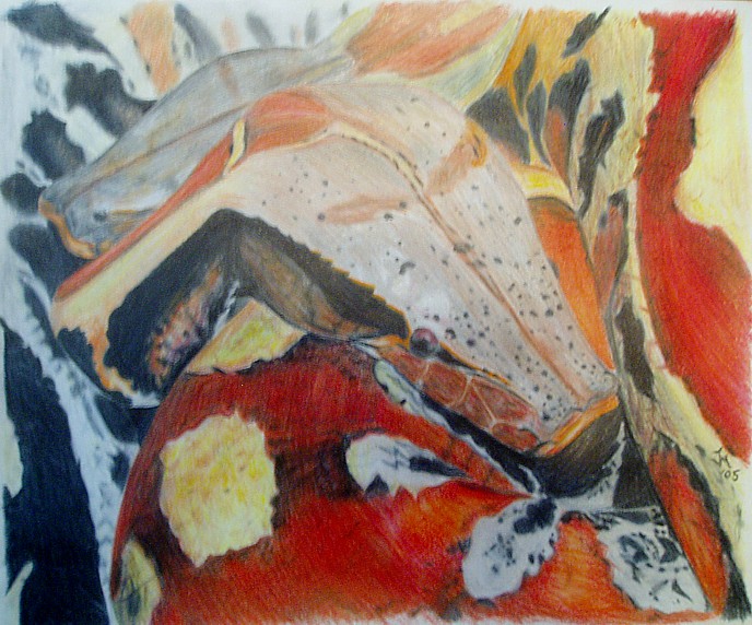 Red Blood Python Drawing