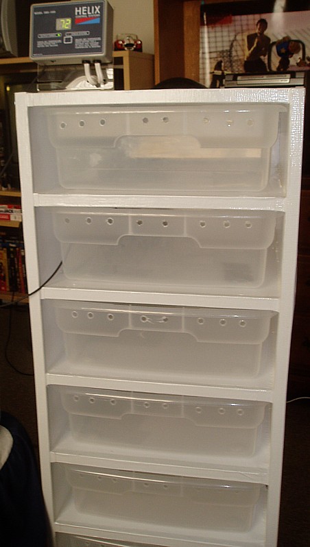 New Borneo Rack Setup