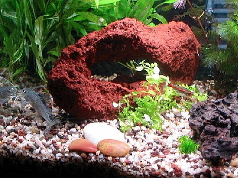 20 long - left side