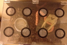 vents