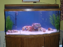 FishTank