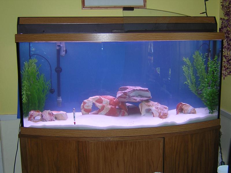 FishTank