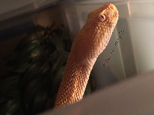 Having a look around
