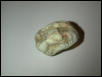 egg dried